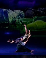 Motionhouse SCATTERED-0094