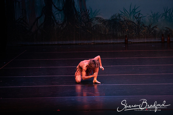 TDC La Bayadere pc Sharen Bradford-2406