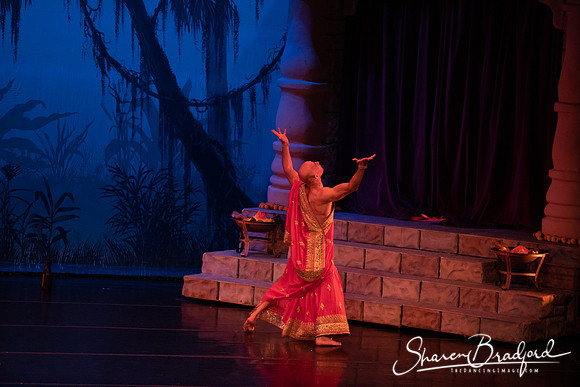 TDC La Bayadere pc Sharen Bradford-2645