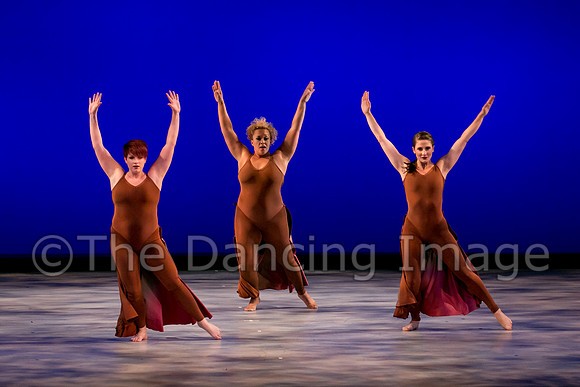 Houston METdance-2991