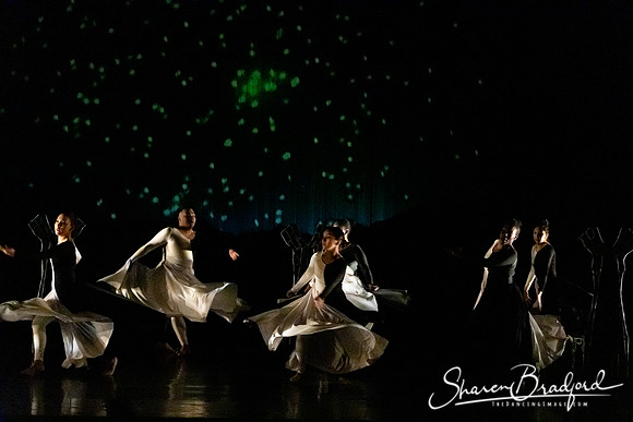 Luminous pc Sharen Bradford-40385