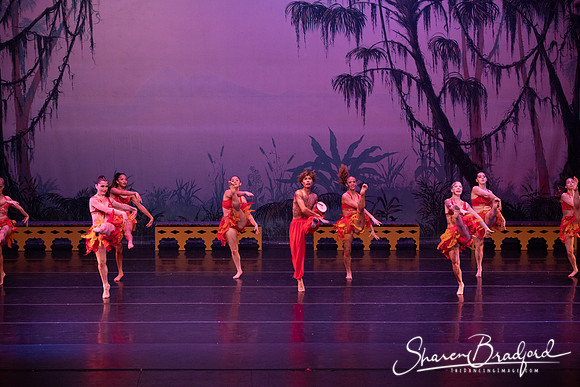 TDC La Bayadere pc Sharen Bradford-3051
