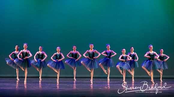 Khachaturian Waltz pc Sharen Bradford-3719