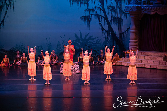 TDC La Bayadere pc Sharen Bradford-2465