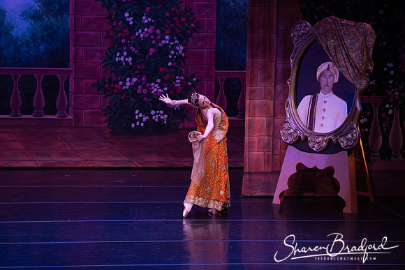 TDC La Bayadere pc Sharen Bradford-2814