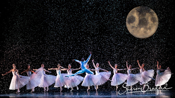 Nutcracker matinee pc Sharen Bradford-5227