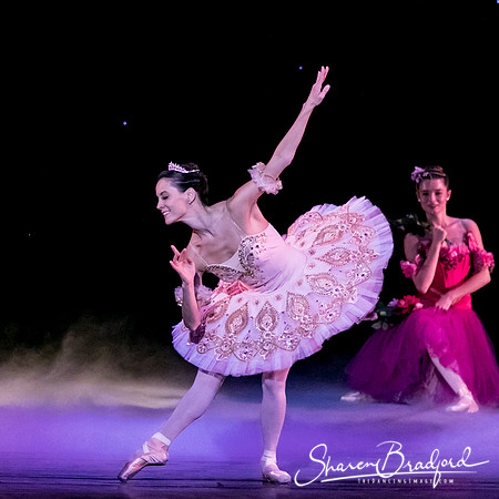 Nutcracker matinee pc Sharen Bradford-5319