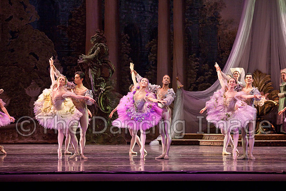 TB Sleeping Beauty Wed.-0105