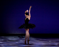 Olga Pavlova_The Dying Swan-3859