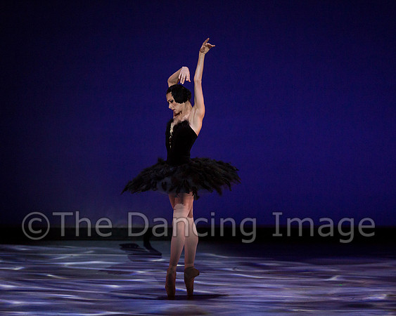 Olga Pavlova_The Dying Swan-3859