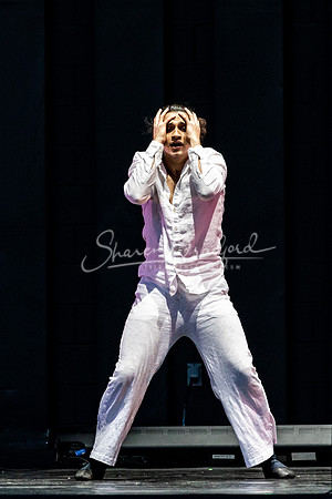 Texas Ballet Theater pc Sharen Bradford-0513