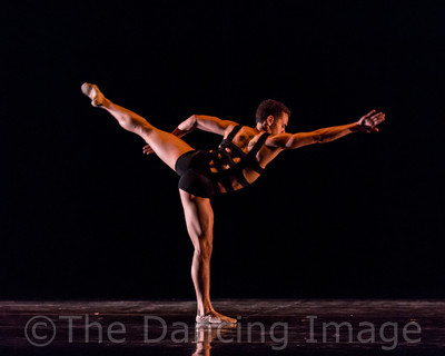 Growth_Albert Drake-2380