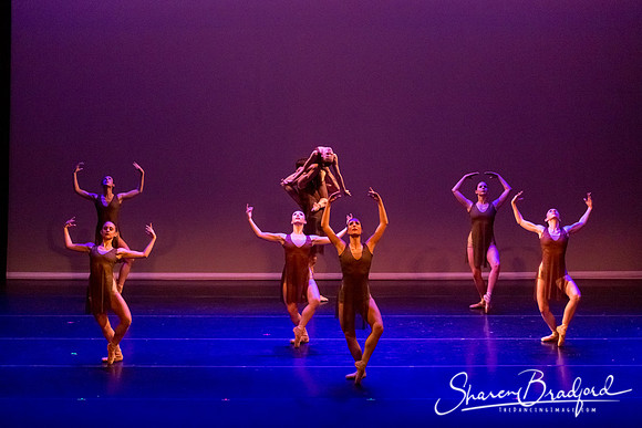 Ballet Dallas Seasons pc Sharen Bradford-1461