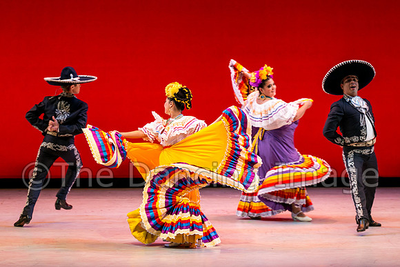Mosaic Dance Project-0418