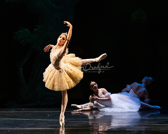 Ballet NTX Sleeping Beauty pc Sharen Bradford-1426