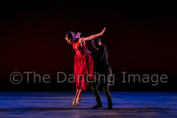 Chado Danse-2852