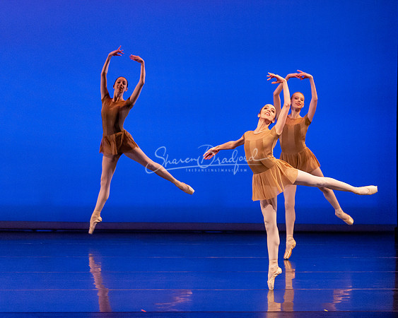 BNT Petit Symphonie pc Sharen Bradford-0177