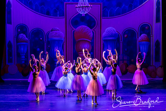 Waltz of the Flowers pc Sharen Bradford-1737