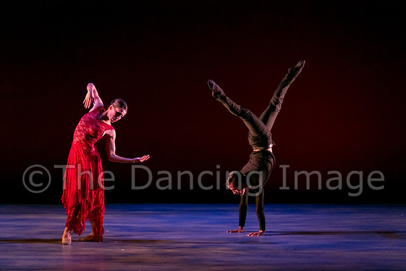 Chado Danse-2847