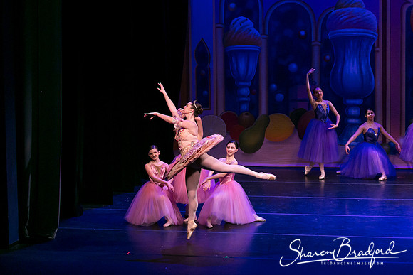 Waltz of the Flowers pc Sharen Bradford-1771
