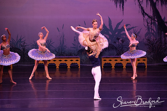 TDC La Bayadere pc Sharen Bradford-3143