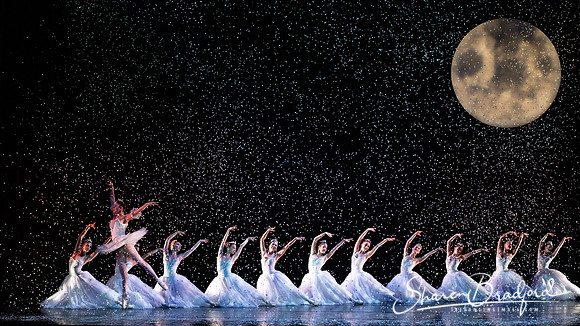 Nutcracker matinee pc Sharen Bradford-5225