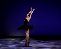 Olga Pavlova_The Dying Swan-3860