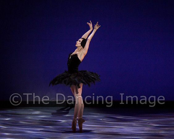 Olga Pavlova_The Dying Swan-3860