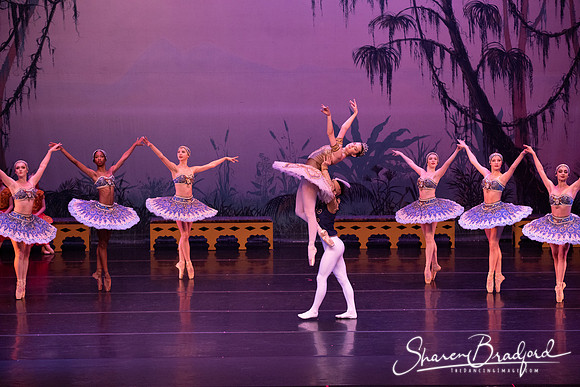 TDC La Bayadere pc Sharen Bradford-3137