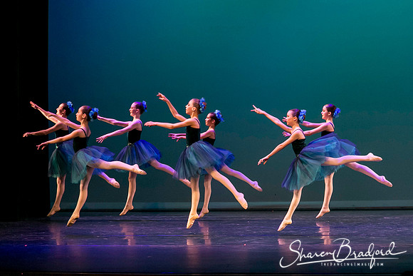 Khachaturian Waltz pc Sharen Bradford-3682