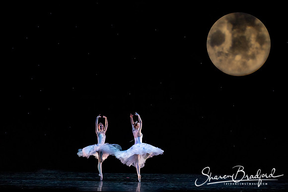 Nutcracker matinee pc Sharen Bradford-5140