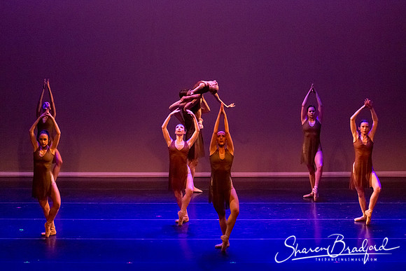 Ballet Dallas Seasons pc Sharen Bradford-1460