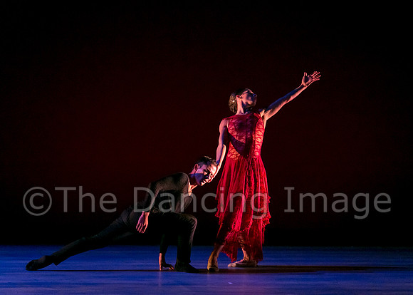 Chado Danse-2836