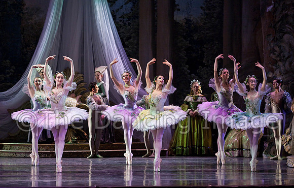 TB Sleeping Beauty Wed.-0080