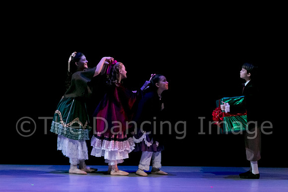 Nutcracker Sat-2748