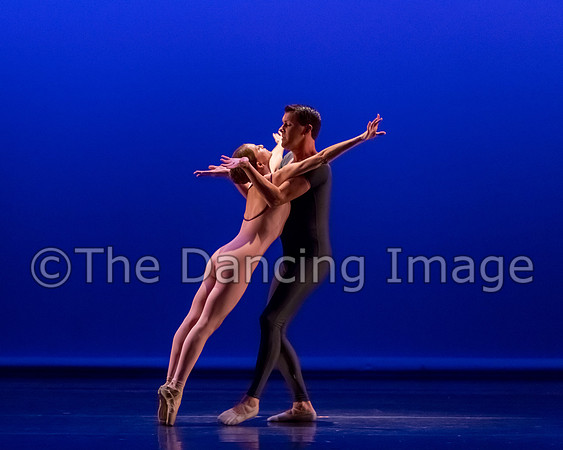 Dream on a Cirrus Sky-6488