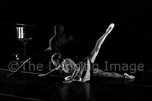 Sharp Show-0403