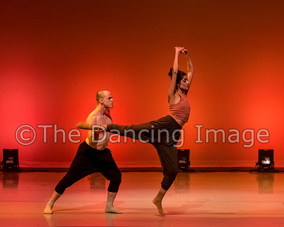 IMG_1941