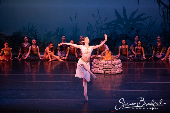 TDC La Bayadere pc Sharen Bradford-2539
