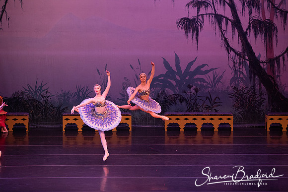 TDC La Bayadere pc Sharen Bradford-3070