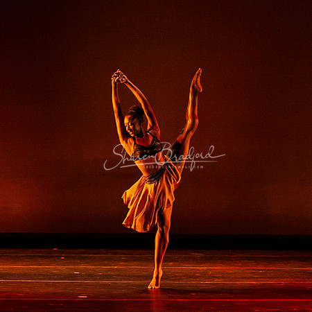 DBDT Pacing 2012 pc Sharen Bradford-3680