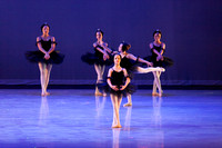 The Black Swans-3406