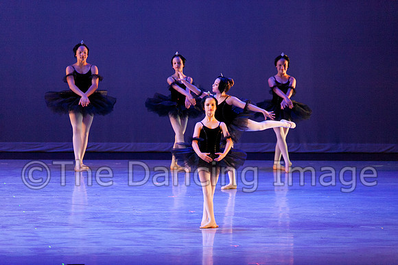 The Black Swans-3406