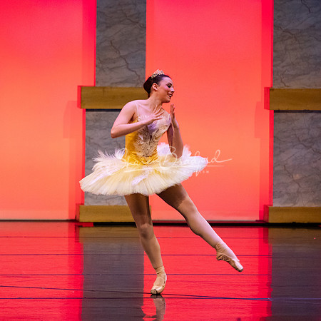 Ballet NTX Sleeping Beauty pc Sharen Bradford-0188