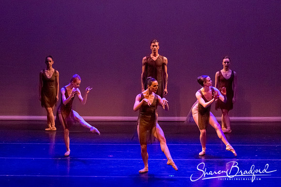 Ballet Dallas Seasons pc Sharen Bradford-1438