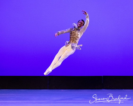 TBT Sleeping Beauty Pas pc Sharen Bradford-1475