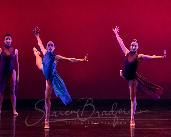 Ballet Frontier pc Sharen Bradford-3309