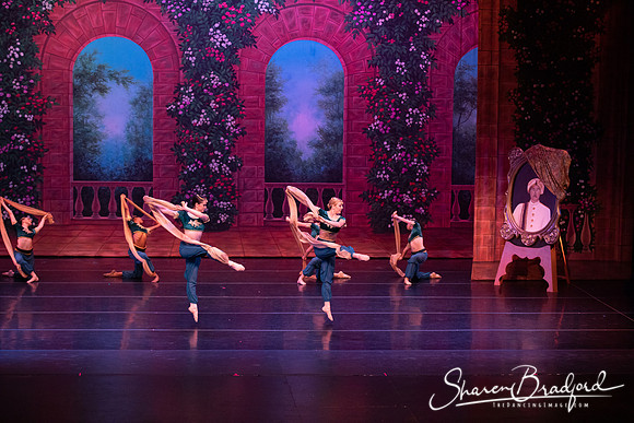 TDC La Bayadere pc Sharen Bradford-2762