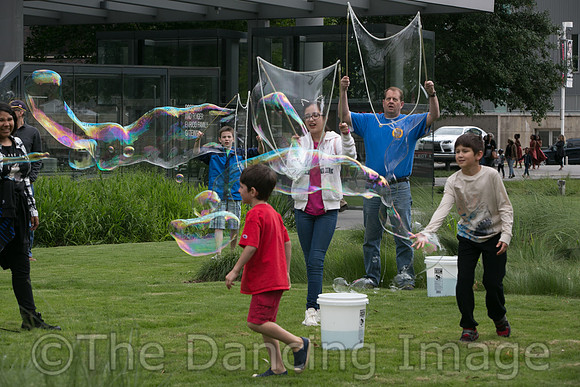 MJS_5227