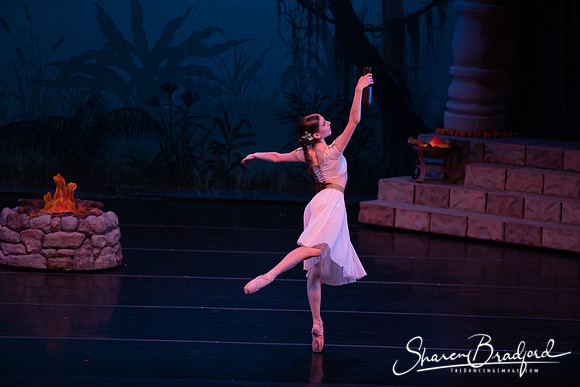 TDC La Bayadere pc Sharen Bradford-2575